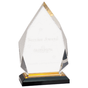 Acrylic Gold-Diamond Impress Award – 8.75"